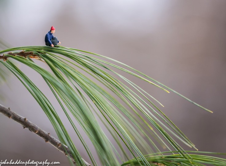 It's a long way down...