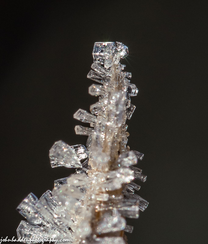 Ice crystals formed on the tip of a dried blade of grass