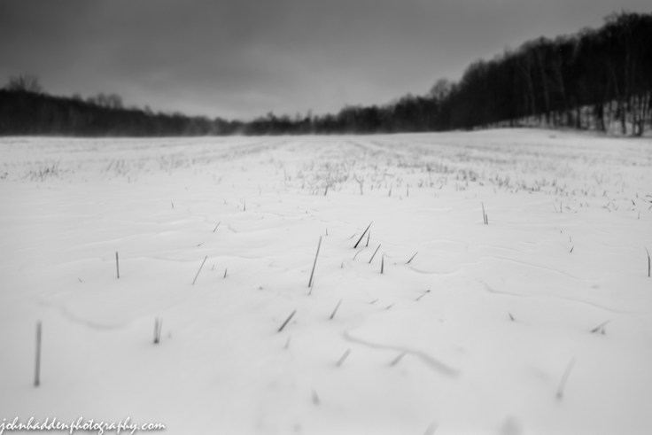 Wind sculpted snow in the upper meadow