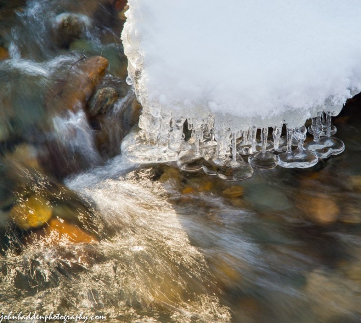 Ice forms tiny bells just above the flow in Fargo Brook