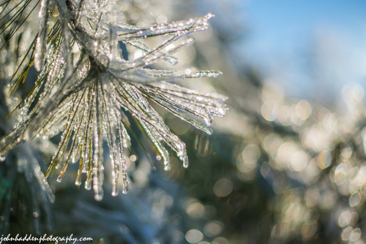 The sun comes out on Christmas Eve