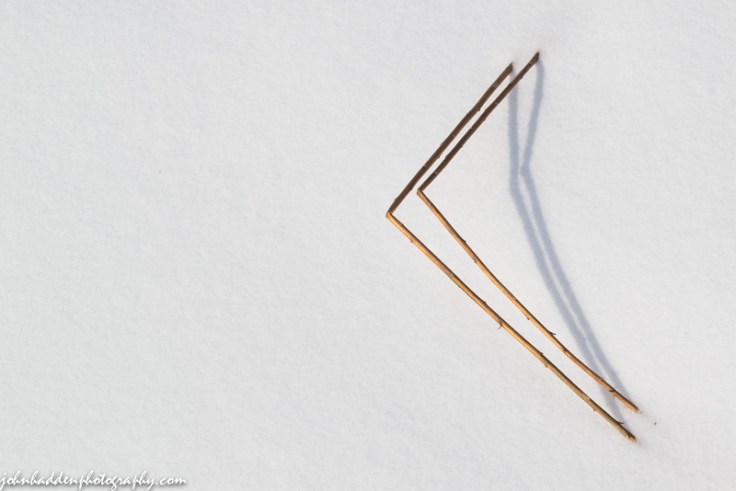 A chevron of bent weeds above the new fallen snow