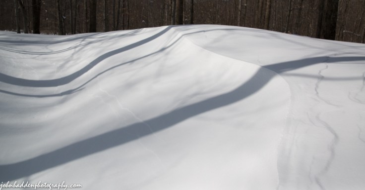 Drifted snow in the deep woods