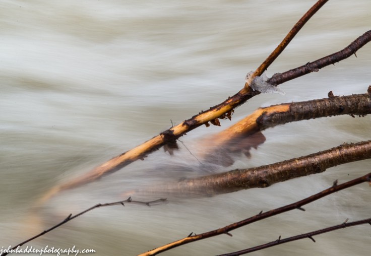 Branches in fast water