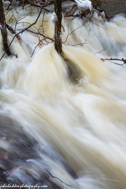 High water in Fargo Brook