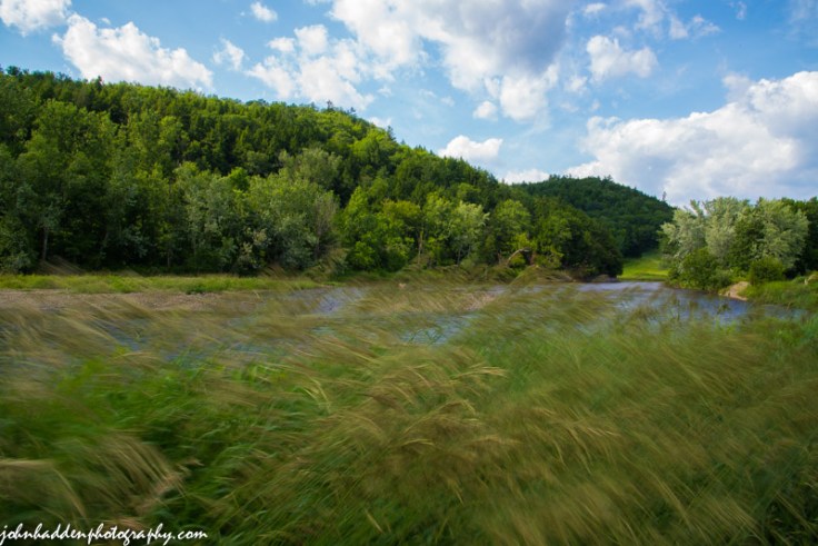 Wind whips grasses along the Lamoille River