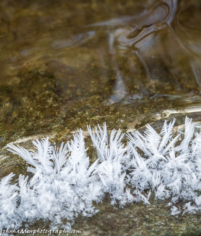 Frost feathers in Fargo Brook