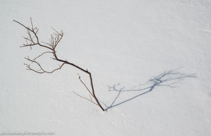 A solitary twig in deep snow