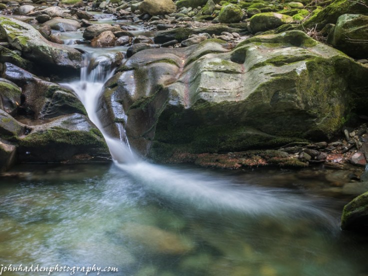 Cobb Brook in low water