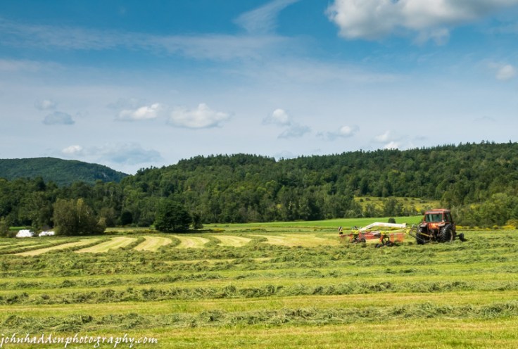 Tim Taft gets a last cut of hay in...