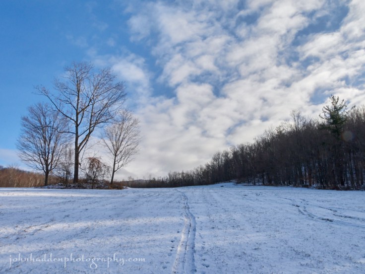 fresh-tracks-taft-meadow